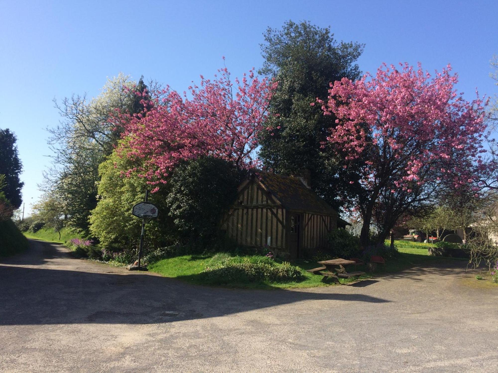Bed and Breakfast Ferme De La Gortiere Le Teilleul Exterior foto