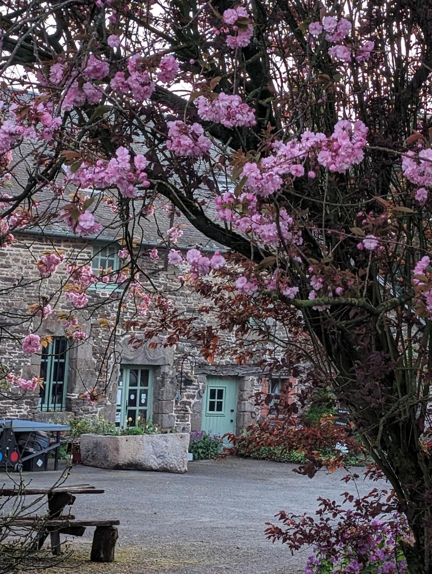 Bed and Breakfast Ferme De La Gortiere Le Teilleul Exterior foto